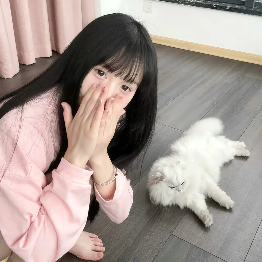 寻找特洛伊
