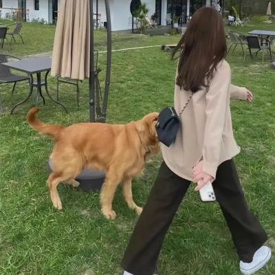 枕刀歌第三季